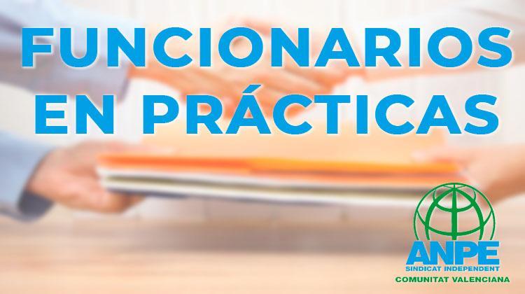 funcionarios_en_practicas_anpecv-1