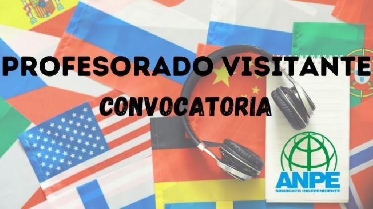 profesoresvisitantes