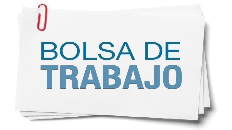 bolsas2