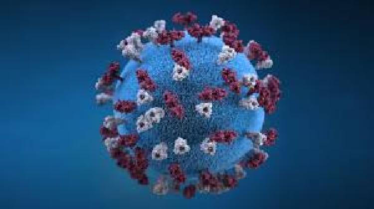 coronavirus