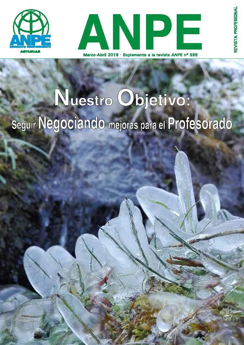 3/anpe-revista-598-201_t1556018849_3_a.jpg